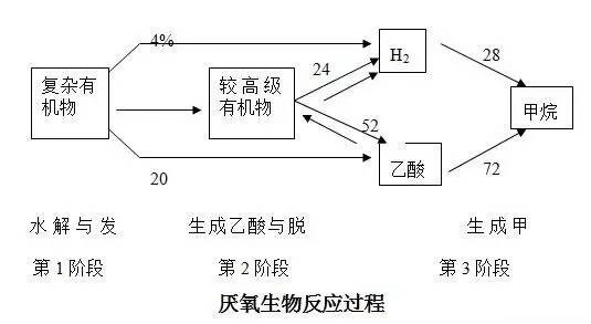 水解酸化池的工作原理和特點簡述