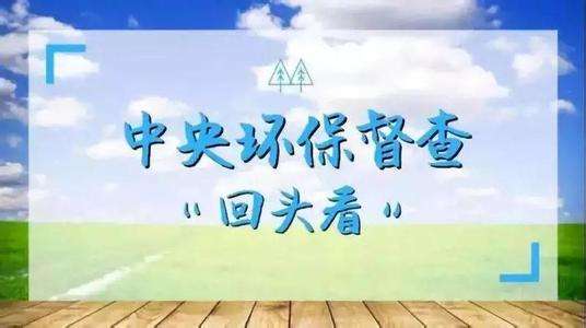 廣東省貫徹落實中央環境保護督察“回頭看”及專項督察反饋意見整改方案